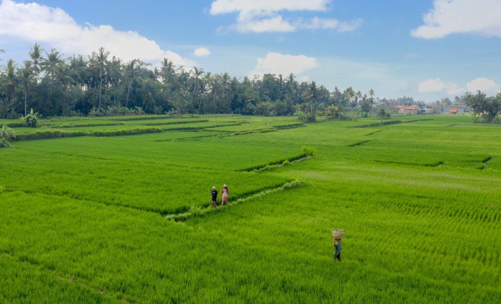 Thewakanda Resort A Pramana Experience Ubud Exteriör bild